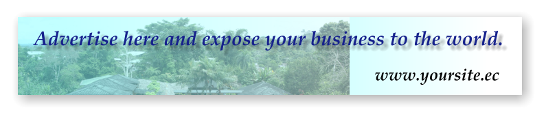 Advertise here and expose your business to the world. www.yoursite.ec